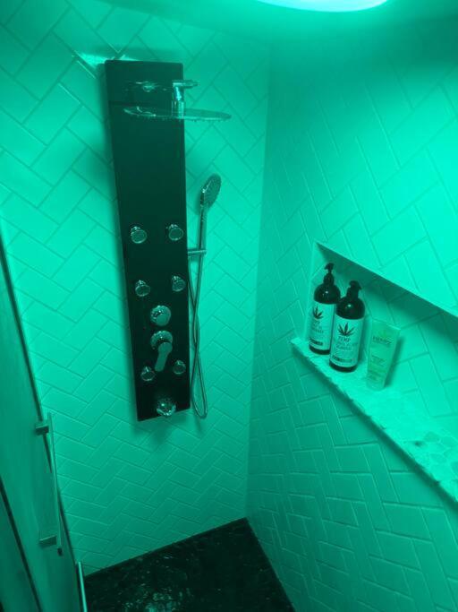 420 Loft Apartment Гленуд Спрингс Екстериор снимка